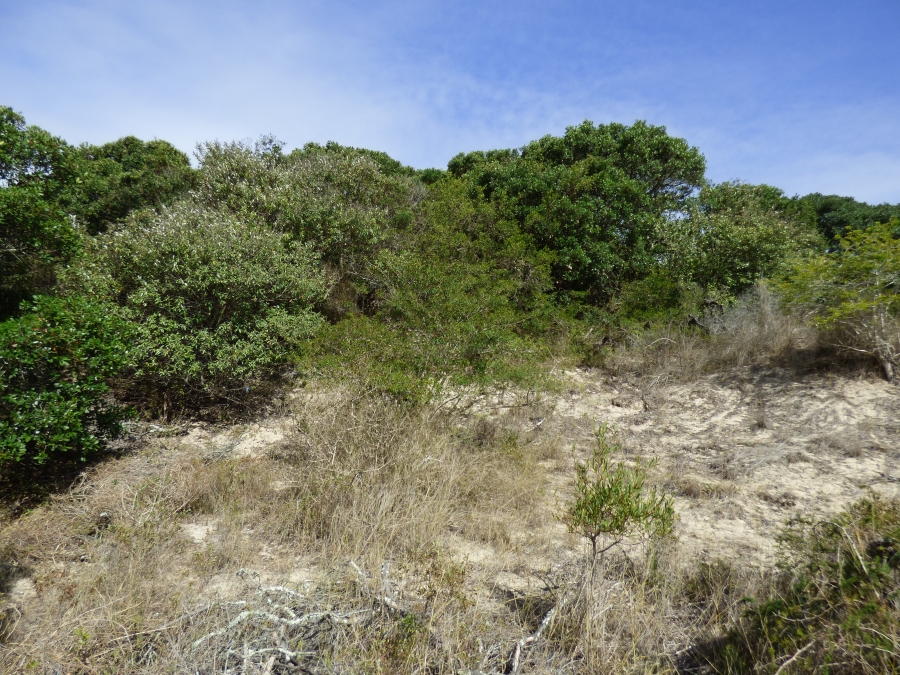 0 Bedroom Property for Sale in West Beach Eastern Cape